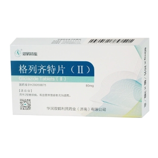 登录可见rx格列齐特片(Ⅱ)登录可见rx肾骨片登录可见rx厄贝沙坦片登录